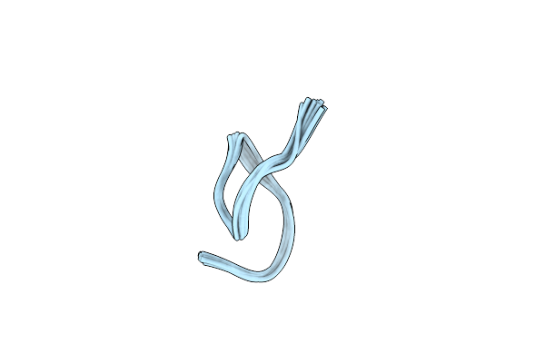 9BVV image