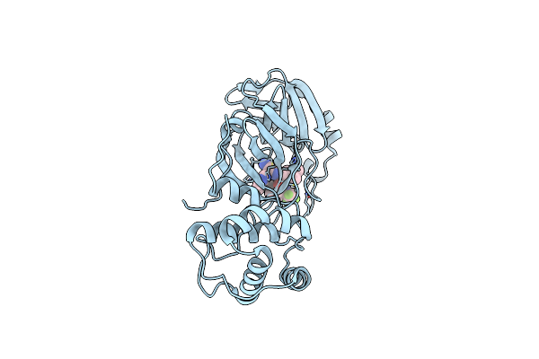 9BVW image