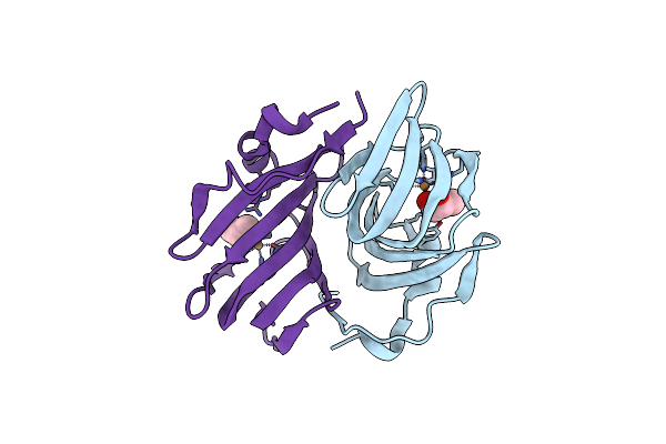 9BWH image
