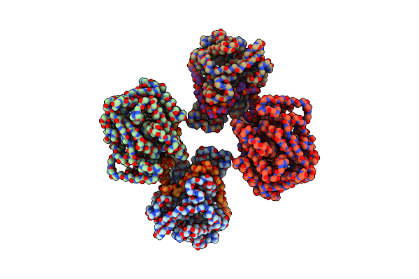 9BX0 image