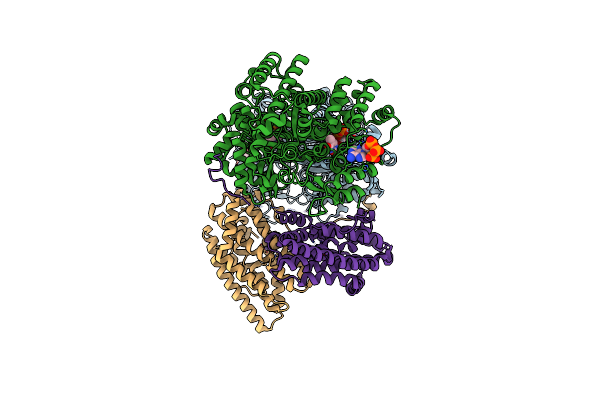9BX3 image
