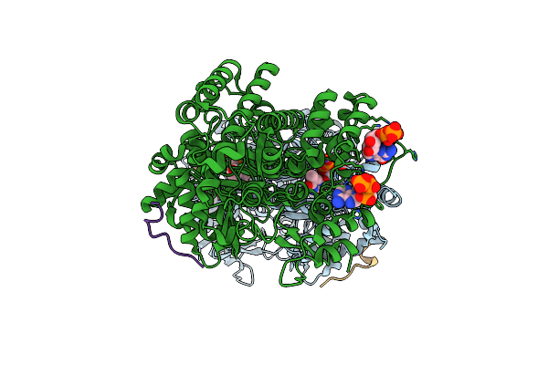 9BXC image