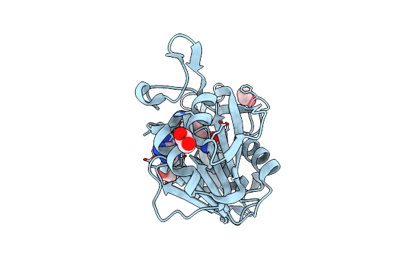 9BXJ image