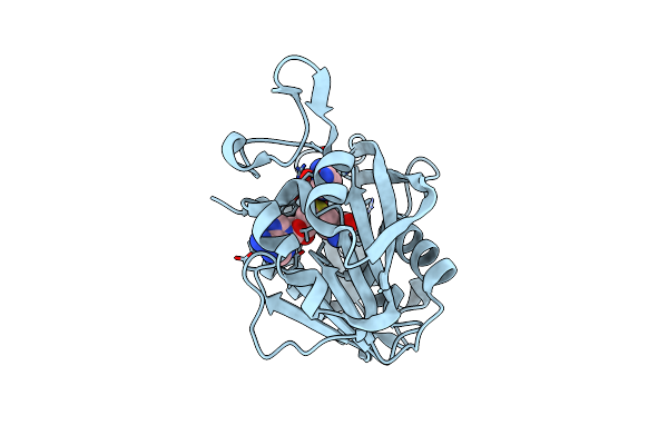 9BXK image
