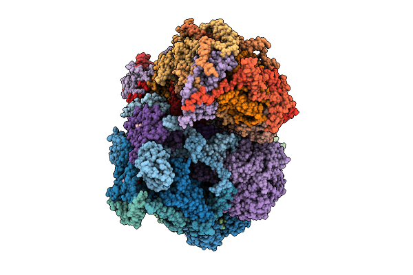 9BXV image