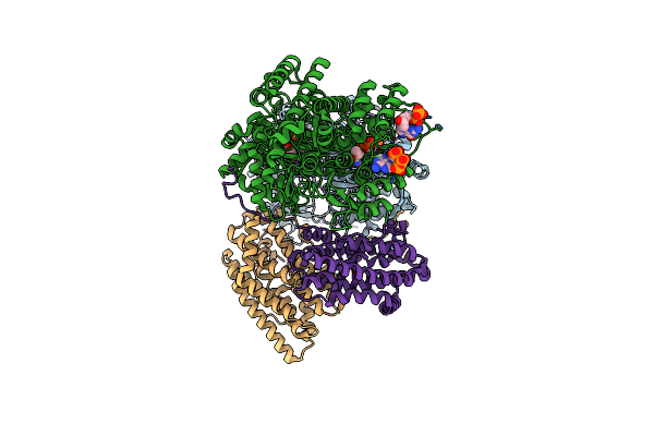 9BYD image