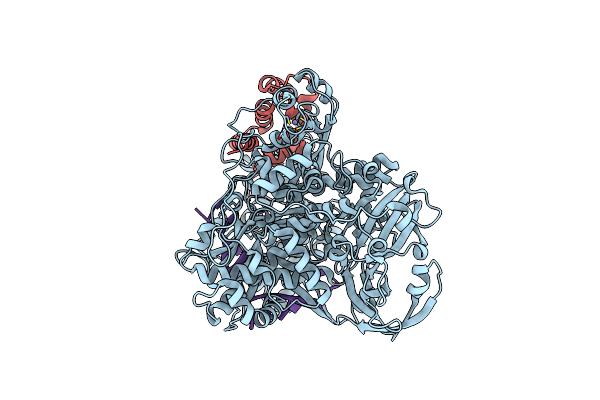 9BYP image