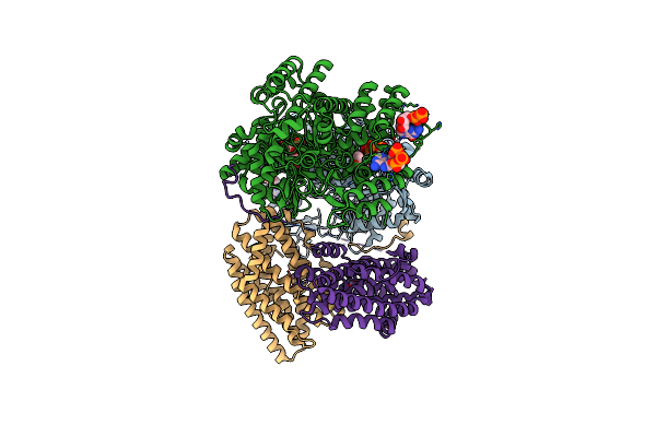9BZM image