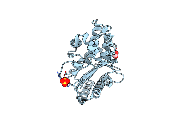 9BZN image