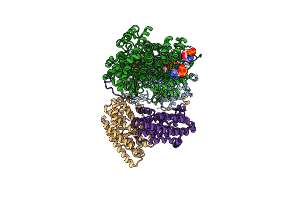 9BZO image