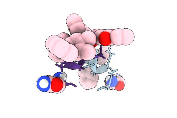 9BZX image