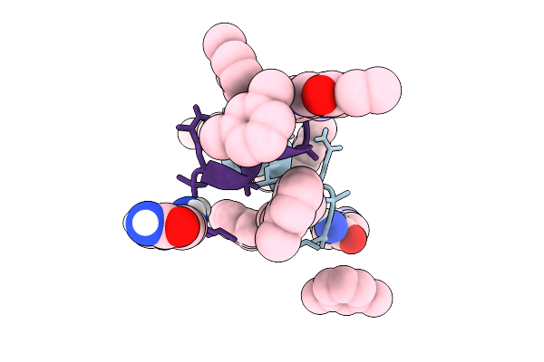 9BZY image