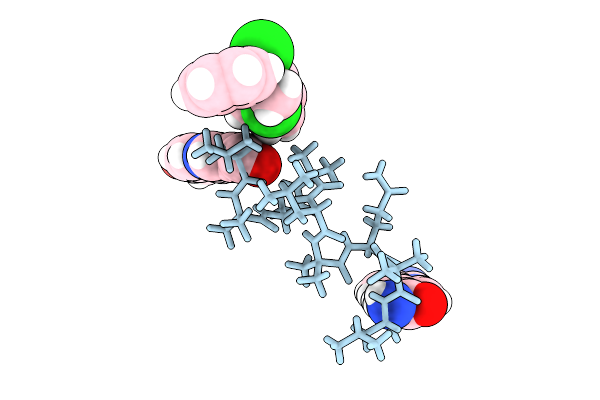 9C00 image