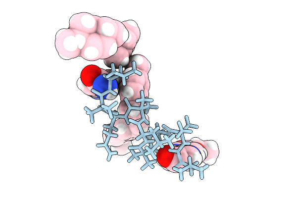9C04 image