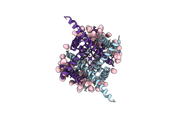 9C07 image