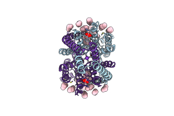 9C09 image