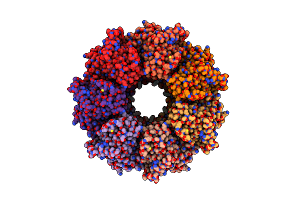 9C0C image
