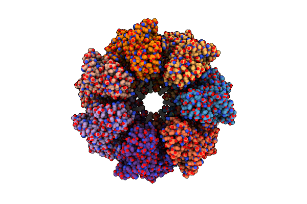 9C0D image