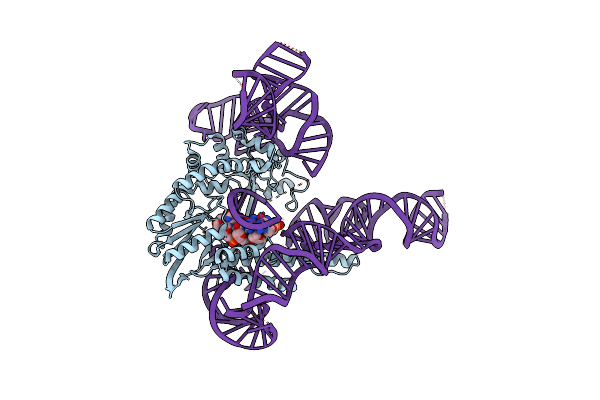 9C0I image
