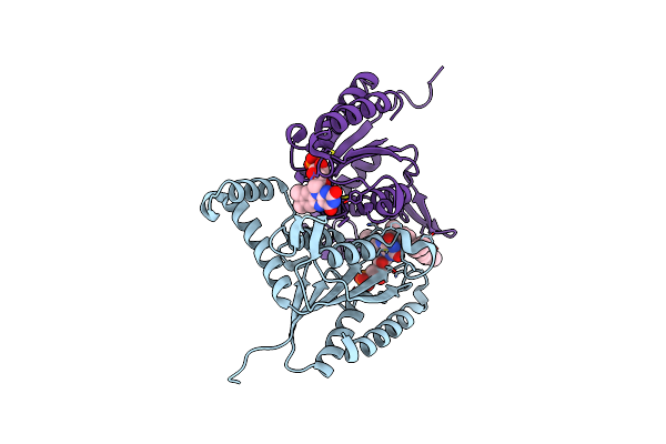 9C0W image