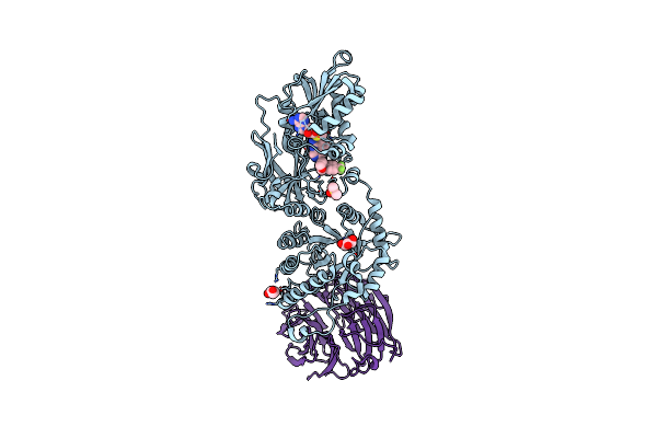 9C10 image