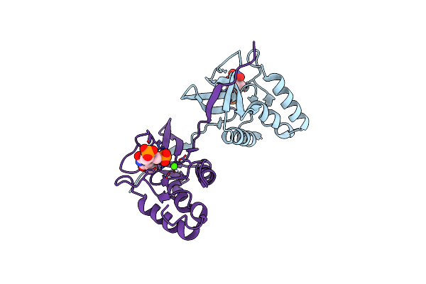 9C11 image