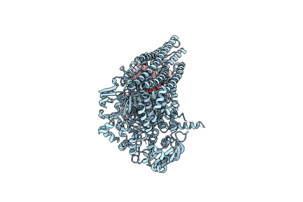 9C12 image