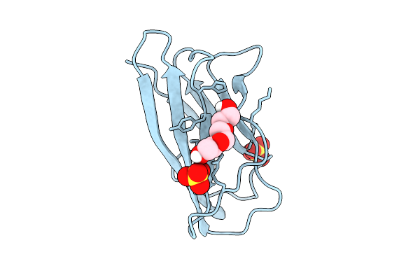 9C14 image