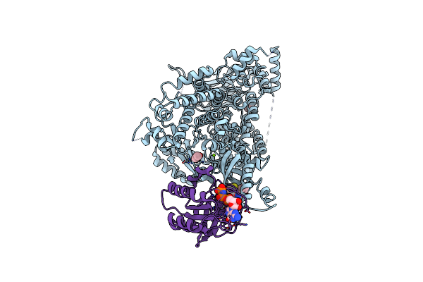 9C15 image