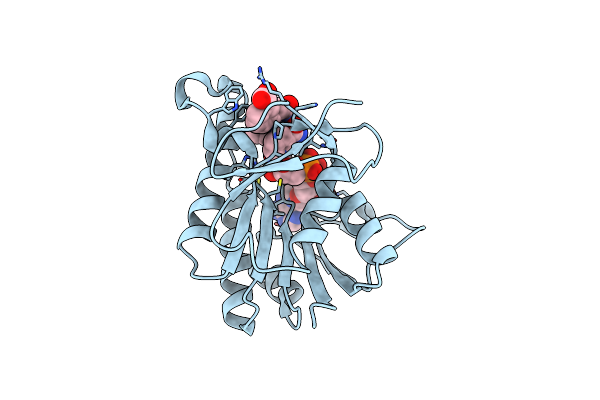 9C16 image