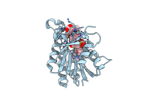 9C17 image