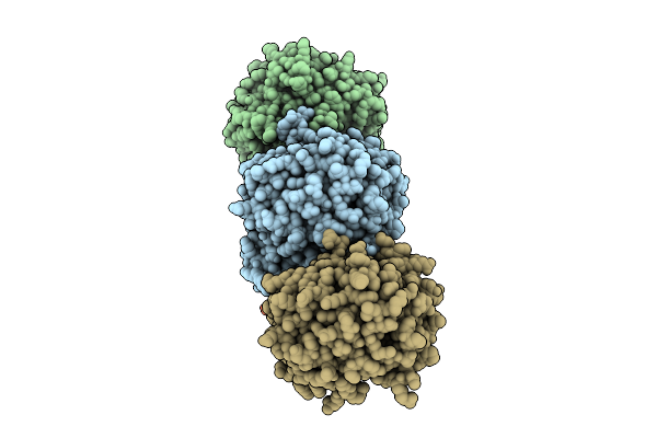 9C19 image