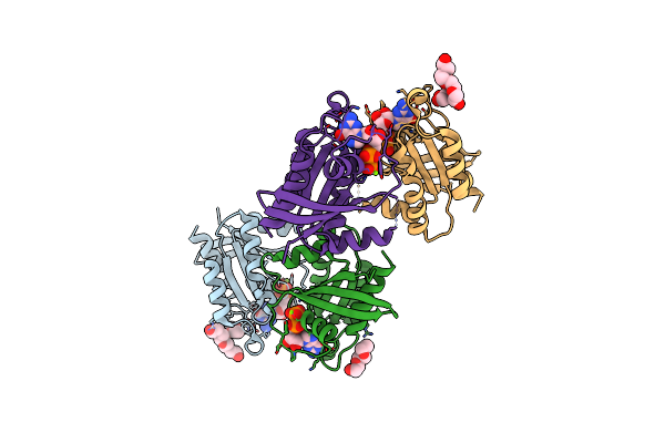 9C1B image