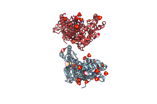9C1C image