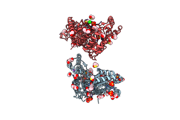 9C1D image