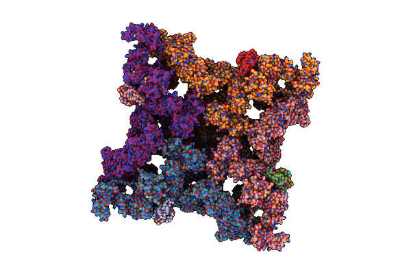 9C1E image