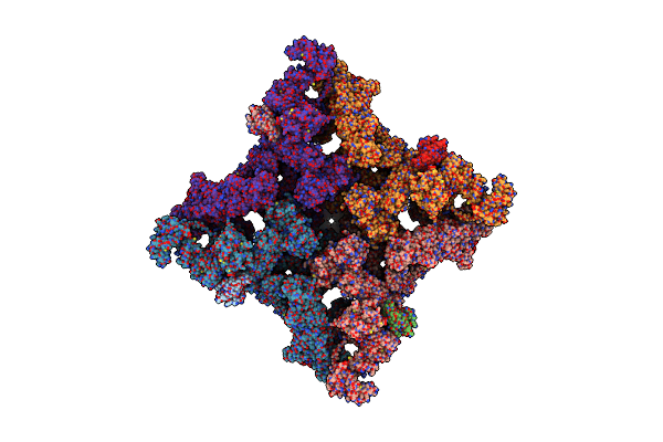 9C1F image