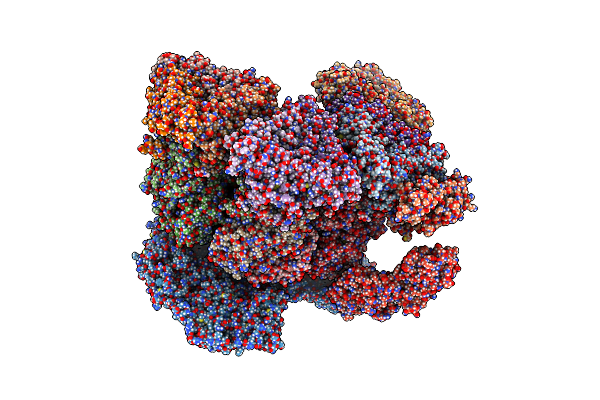 9C1G image