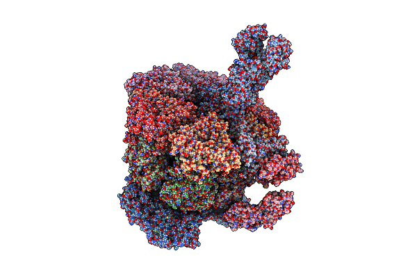 9C1H image
