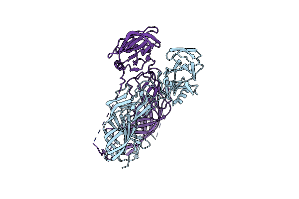 9C1I image