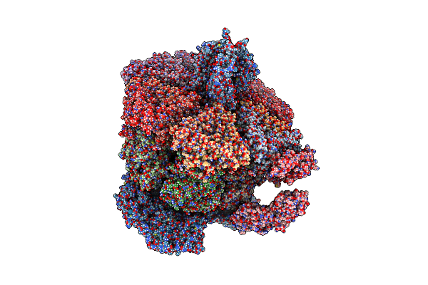 9C1J image