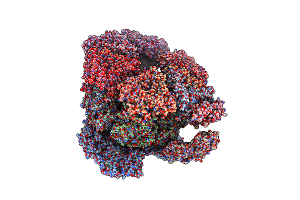 9C1K image