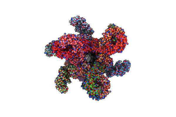 9C1N image