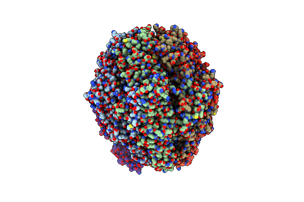9C1O image