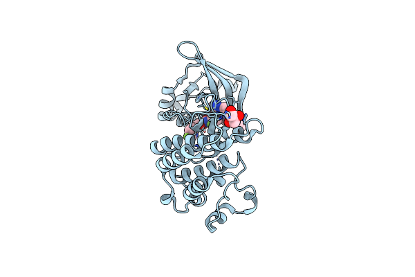 9C1R image