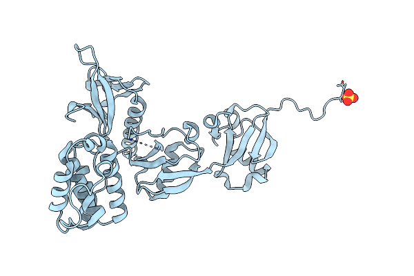 9C1T image