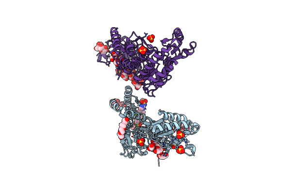 9C1V image