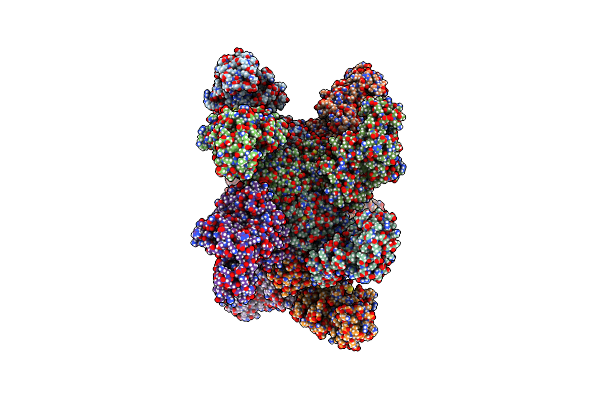 9C1X image