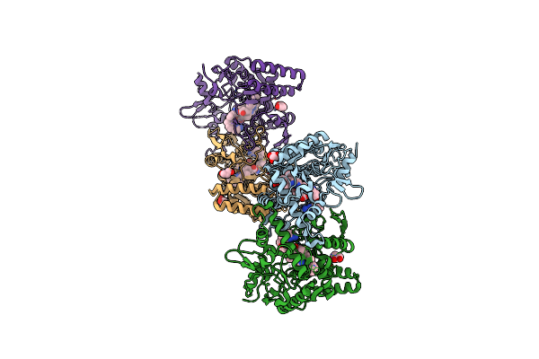 9C1Y image