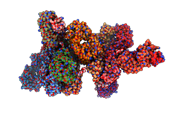 9C22 image